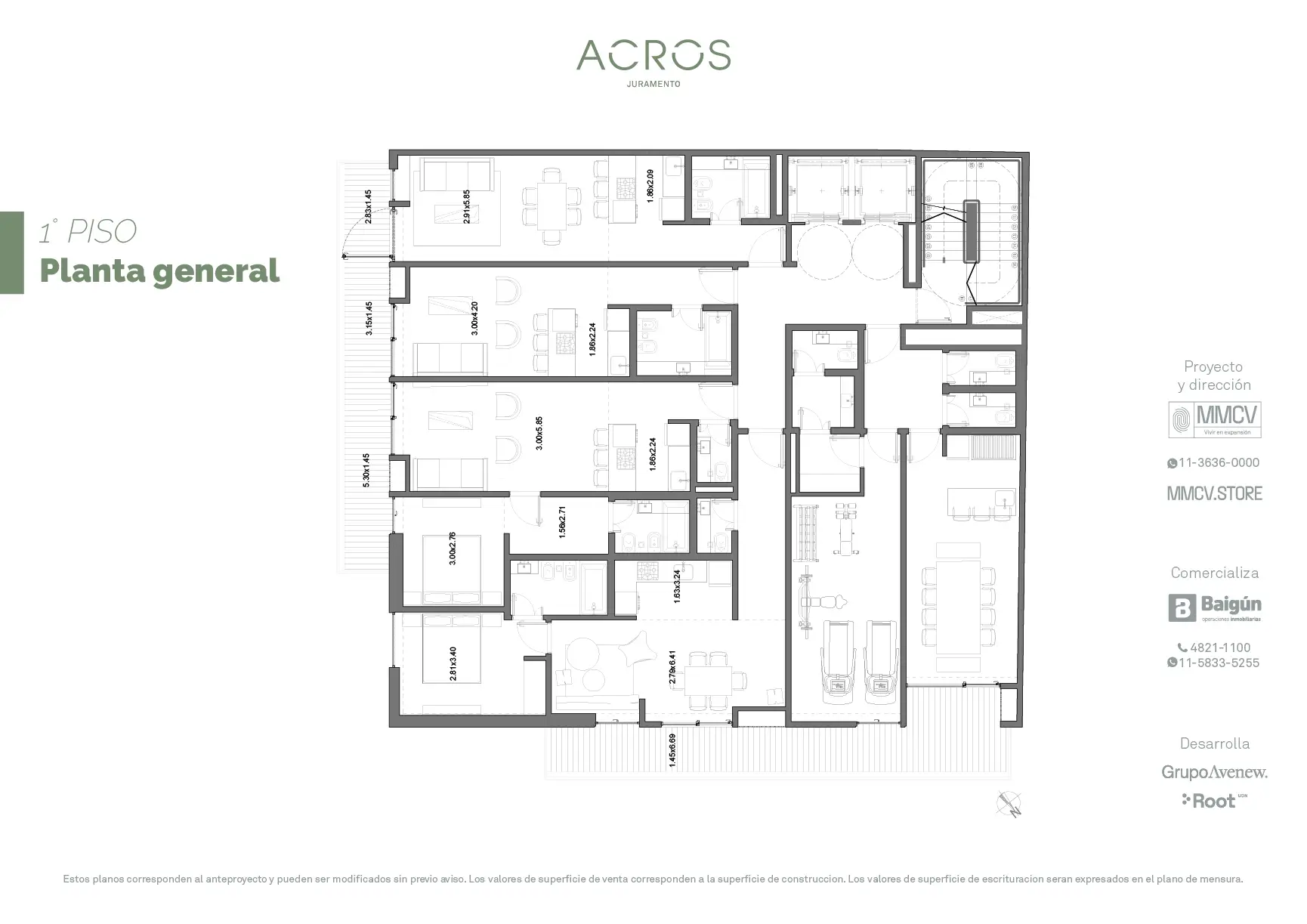 GAV ACROS Juramento Plantas -03